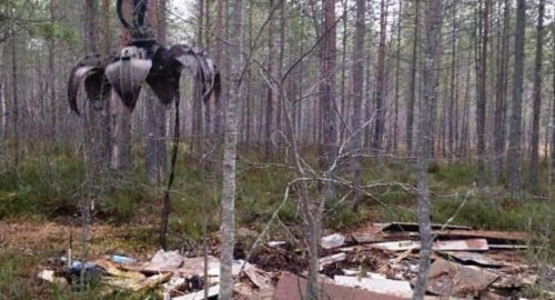 В Архангельской области в этом году ликвидируют сто свалок