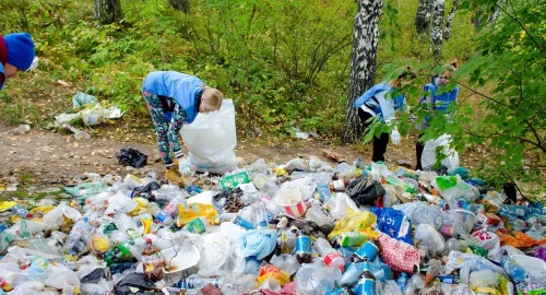 Глава Росприроднадзора назвала самые замусоренные регионы России