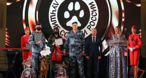 Кинологи и служебные собаки Росгвардии стали лауреатами Всероссийской премии профессионального мастерства