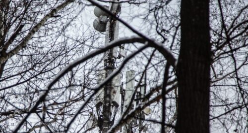 Владивосток накрыло ледяной коркой из-за переохлаждённого тумана