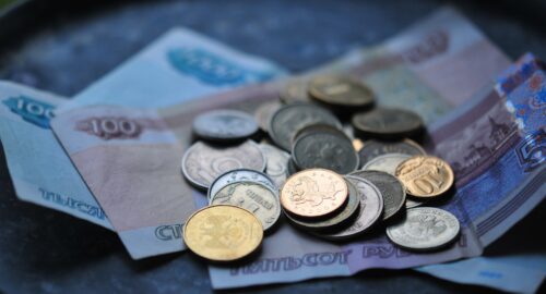 Депутат Разворотнева предложила взвешивать мусор и платить за него по факту