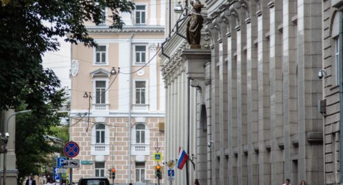 Морские зайцы Макс и Чарли прибыли в Московский зоопарк