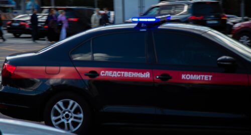 Двухмесячного детеныша амурского тигра изъяли полицейские у жителя ЛНР