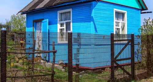 Выращивание психоделических грибов на даче обернется штрафом или тюрьмой