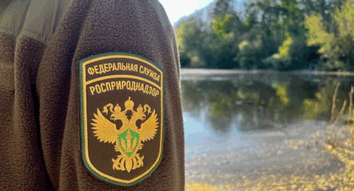 Росприроднадзор установил факт сброса загрязняющих веществ в реку Сейм