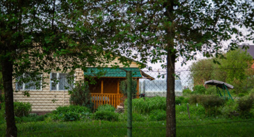 Российским дачникам посоветовали в тени выращивать фуксию
